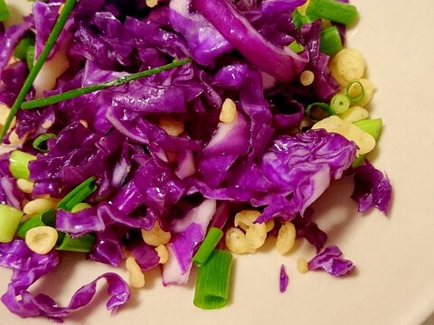 紫キャベツのあげたまサラダ